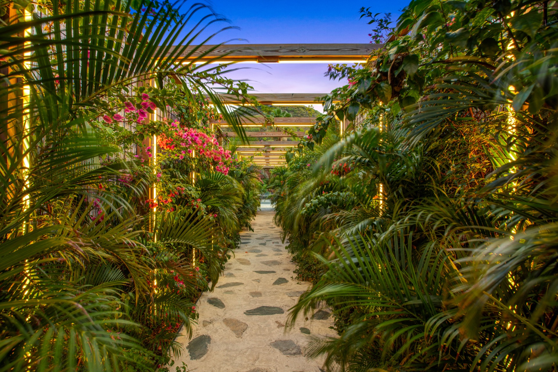The lush District 721 walkway beneath palms and golden lights